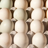 Quex Barn Duck Eggs